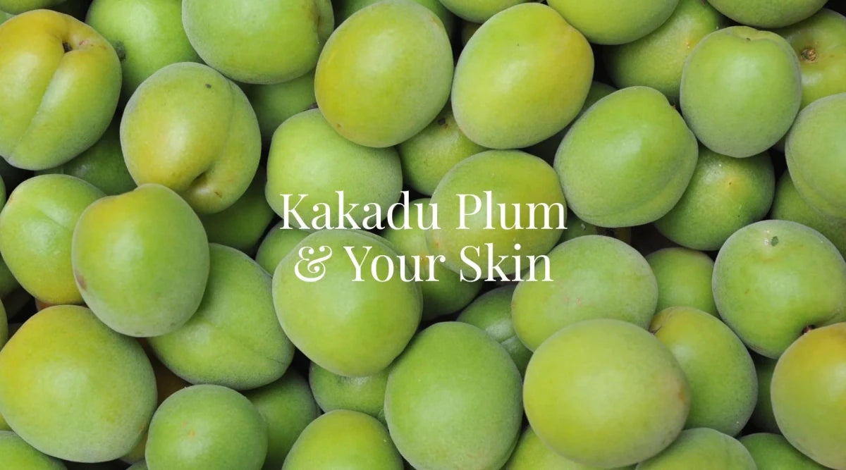 What Is Kakadu Plum in Skincare? Australian Vitamin C - Adorn Cosmetics