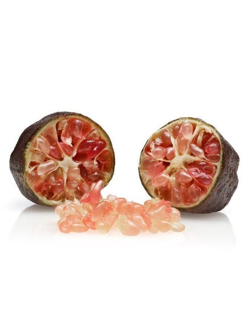Adorn Lime Caviar regenerative face cream — ultra-hydrating refillable