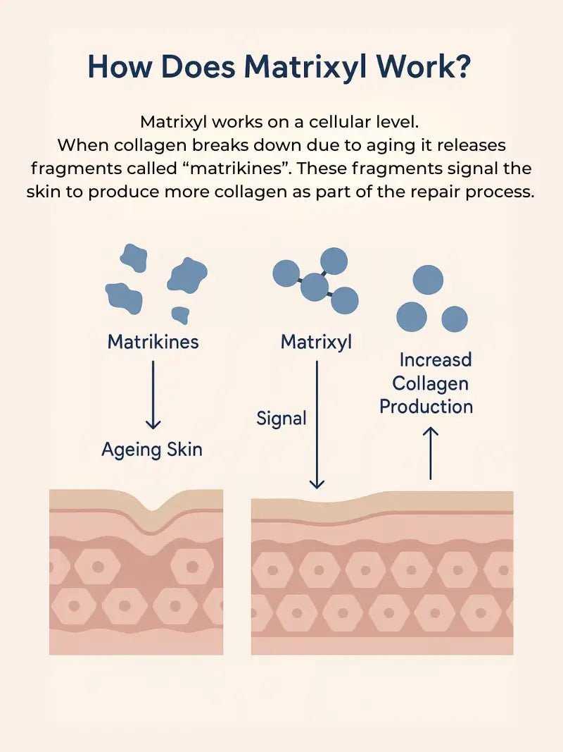 Matrixyl 10% Face & Neck Wrinkle Cream - Cream