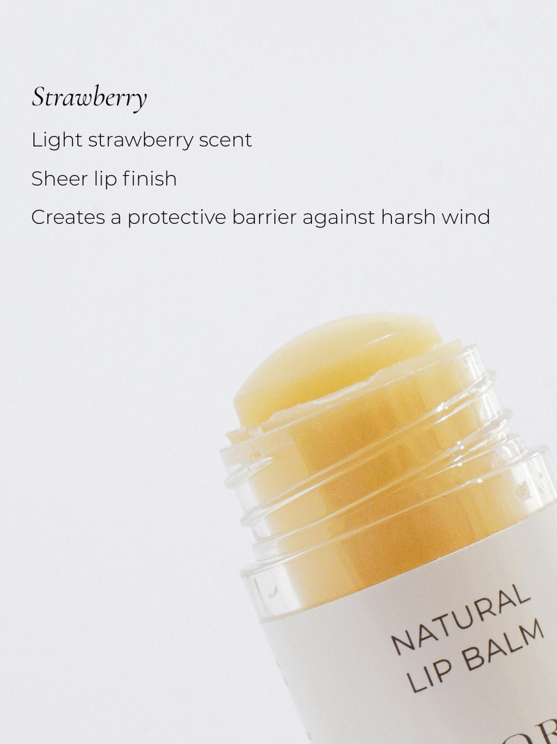 ADORN Coconut Lip Repair Balm - Adorn Cosmetics